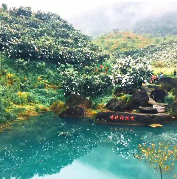 从化吕田香密山生态果庄