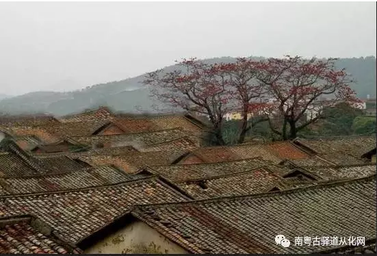 从化木棉村免费景点